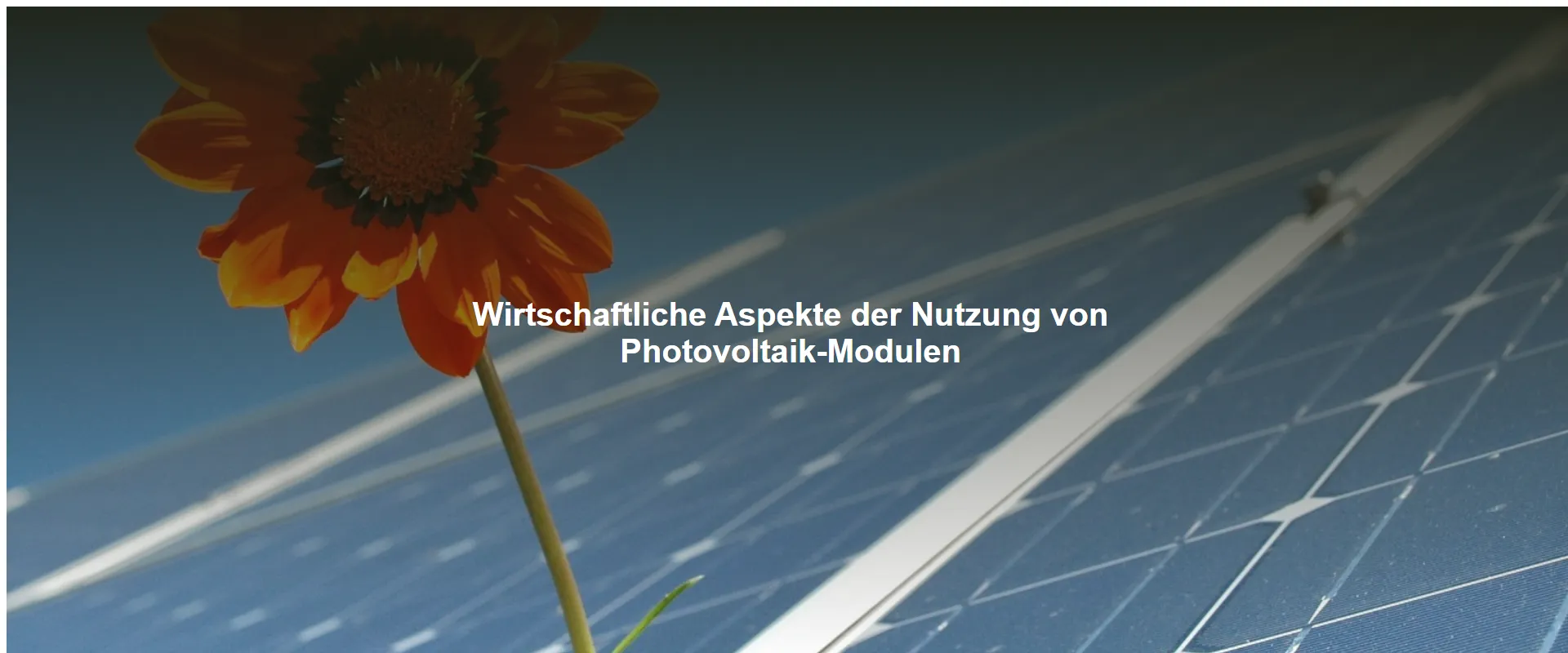 Wirtschaftliche Aspekte der Nutzung von Photovoltaik-Modulen